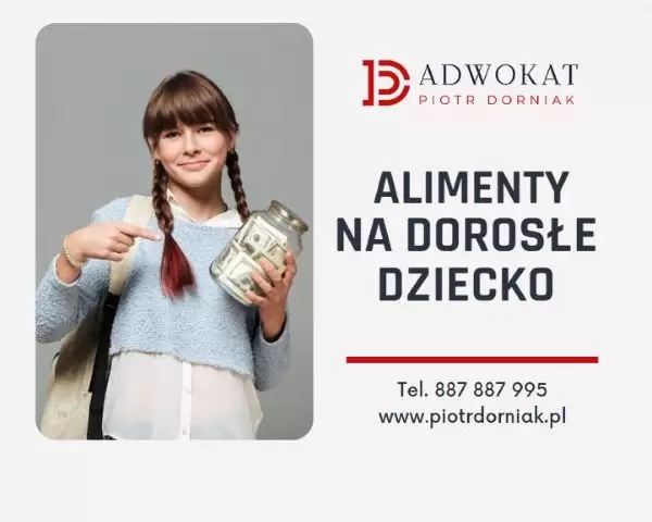 alimenty na dorosłe dziecko adwokat Jelenia Góra